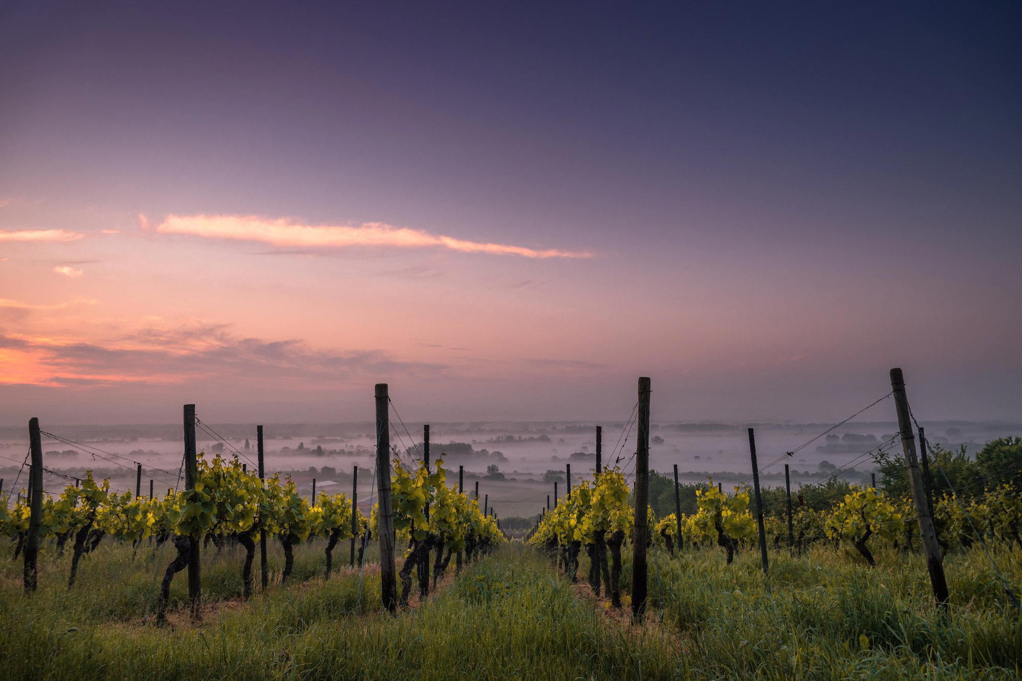 Domaine André Mathieu, Châteauneuf-du-Pape, France