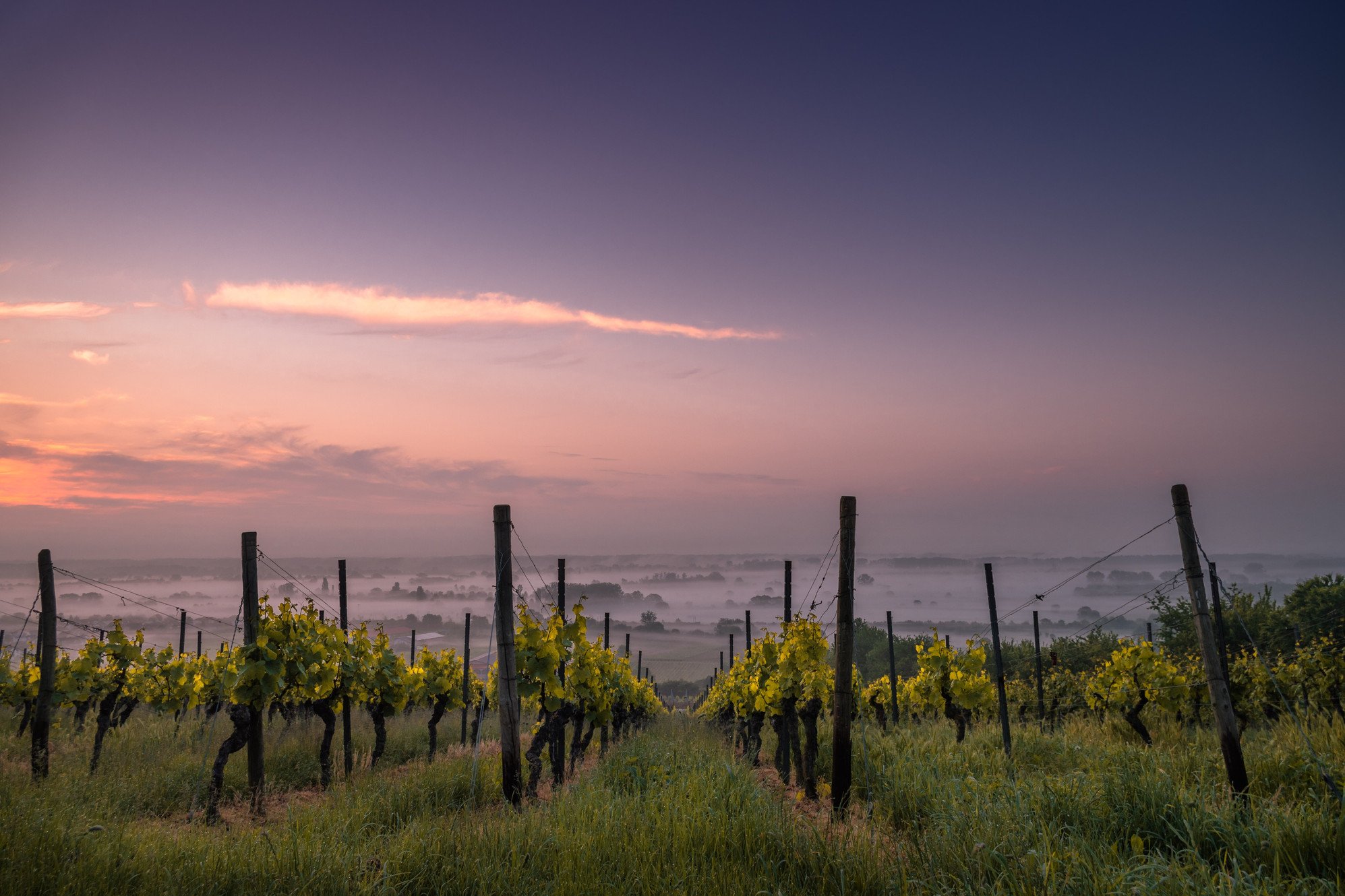 Domaine André Mathieu, Winery in Châteauneuf-du-Pape