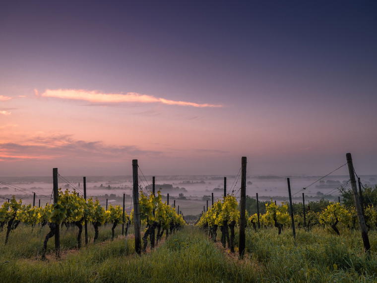 Domaine André Mathieu, Châteauneuf-du-Pape, France