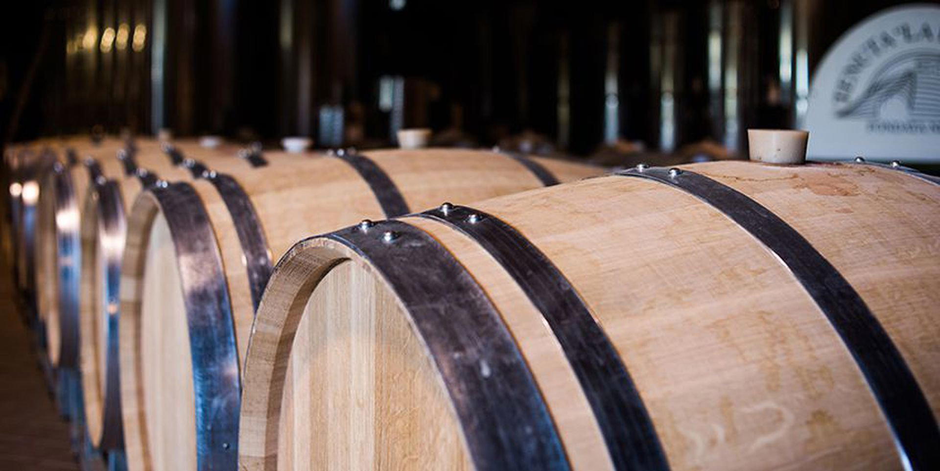 Tenuta La Pergola winery in Cisterna D Asti
