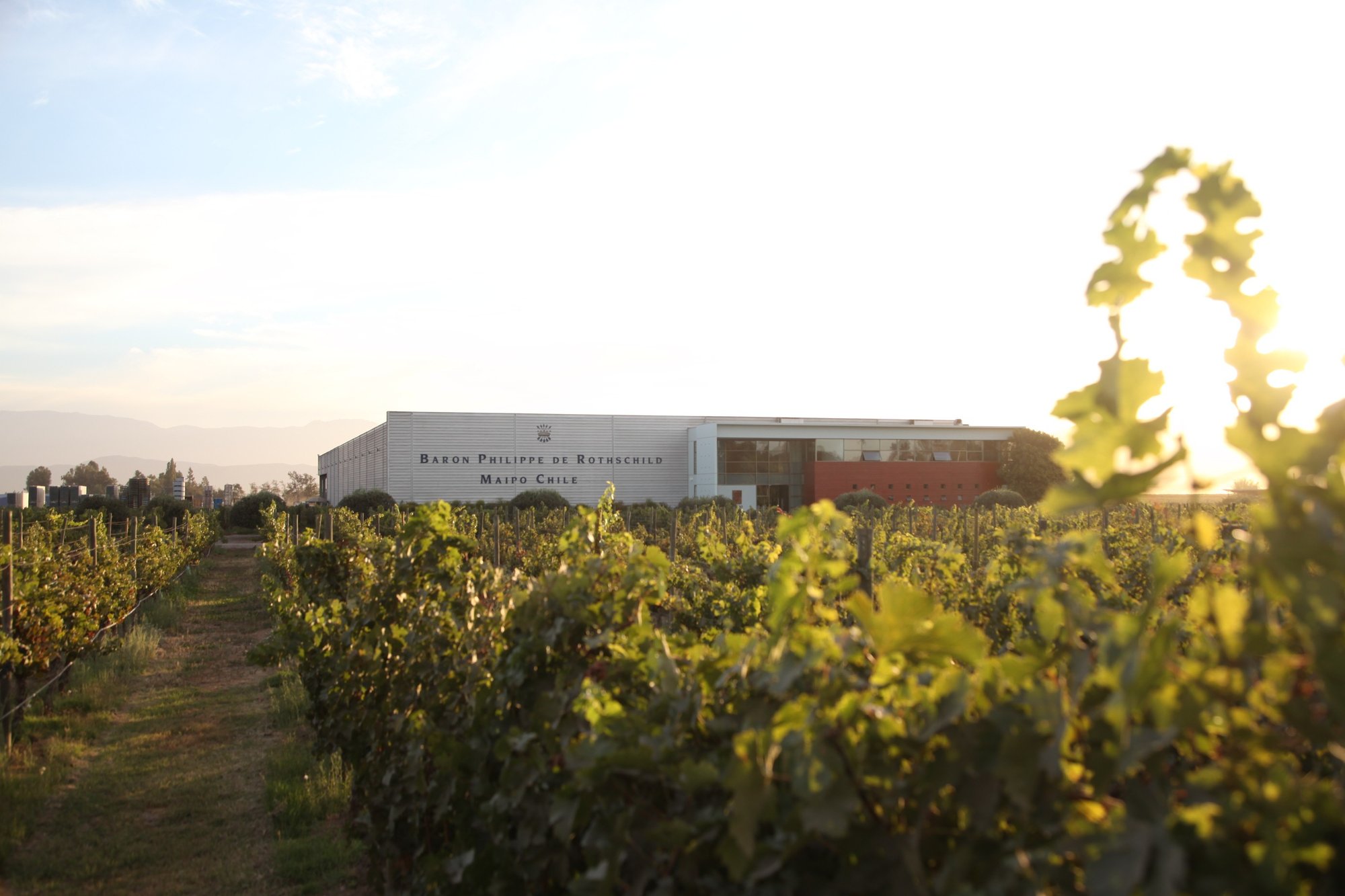 Baron Philippe de Rothschild (Chile), Winery in Buin