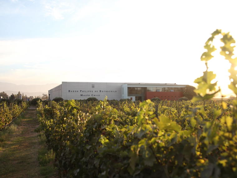 Baron Philippe de Rothschild (Chile), Buin, Chile