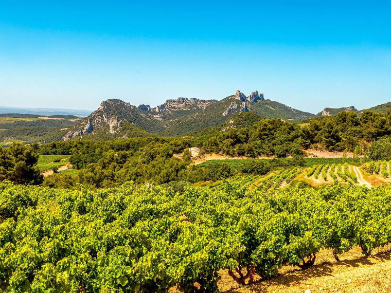 Domaine Loew, Westhoffen, France