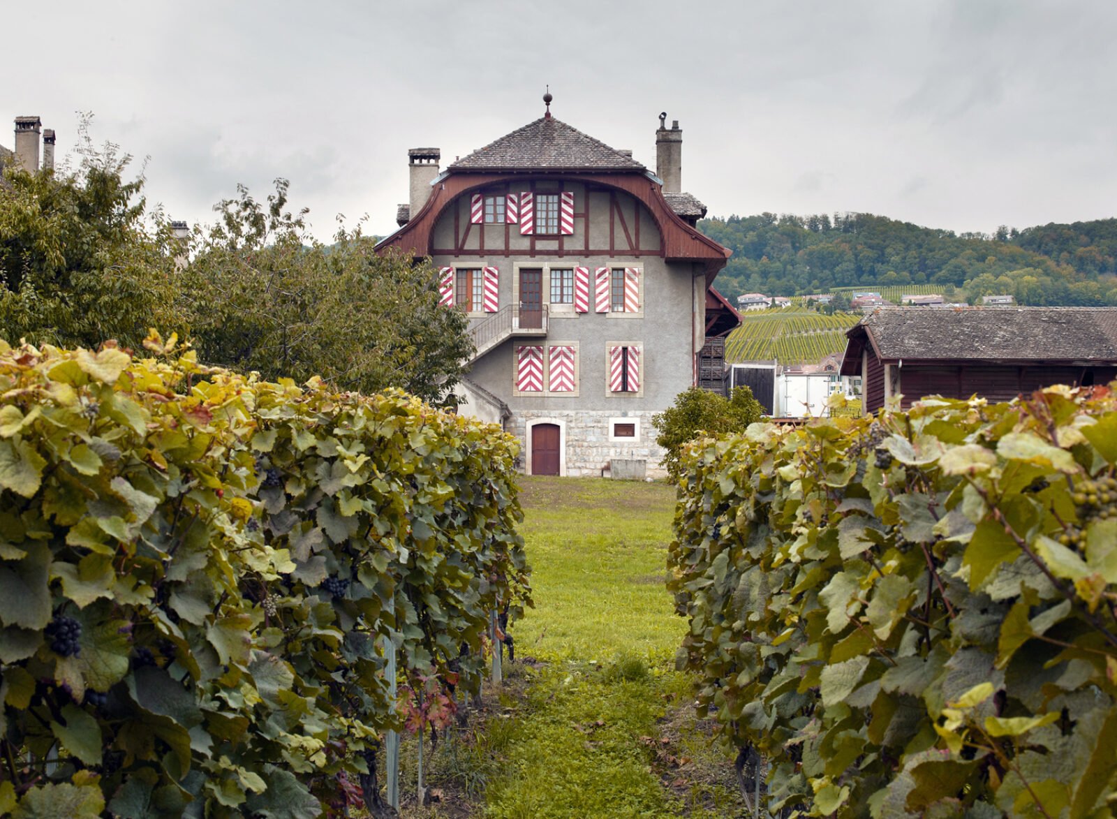 Abbaye de Mont