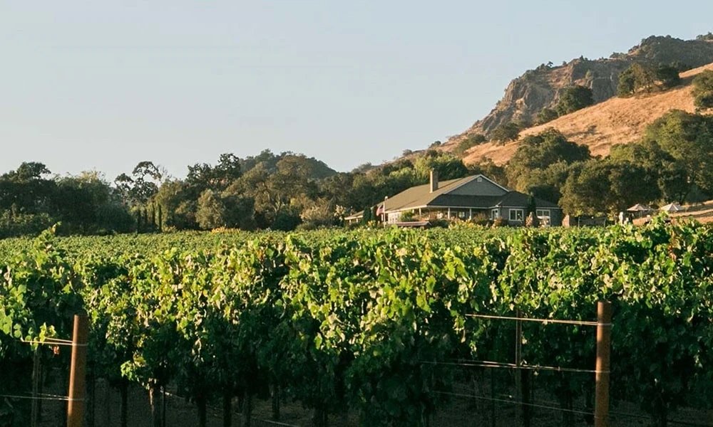 Artezin Wines, Napa, United States