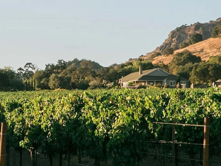 Artezin Wines, Napa, United States