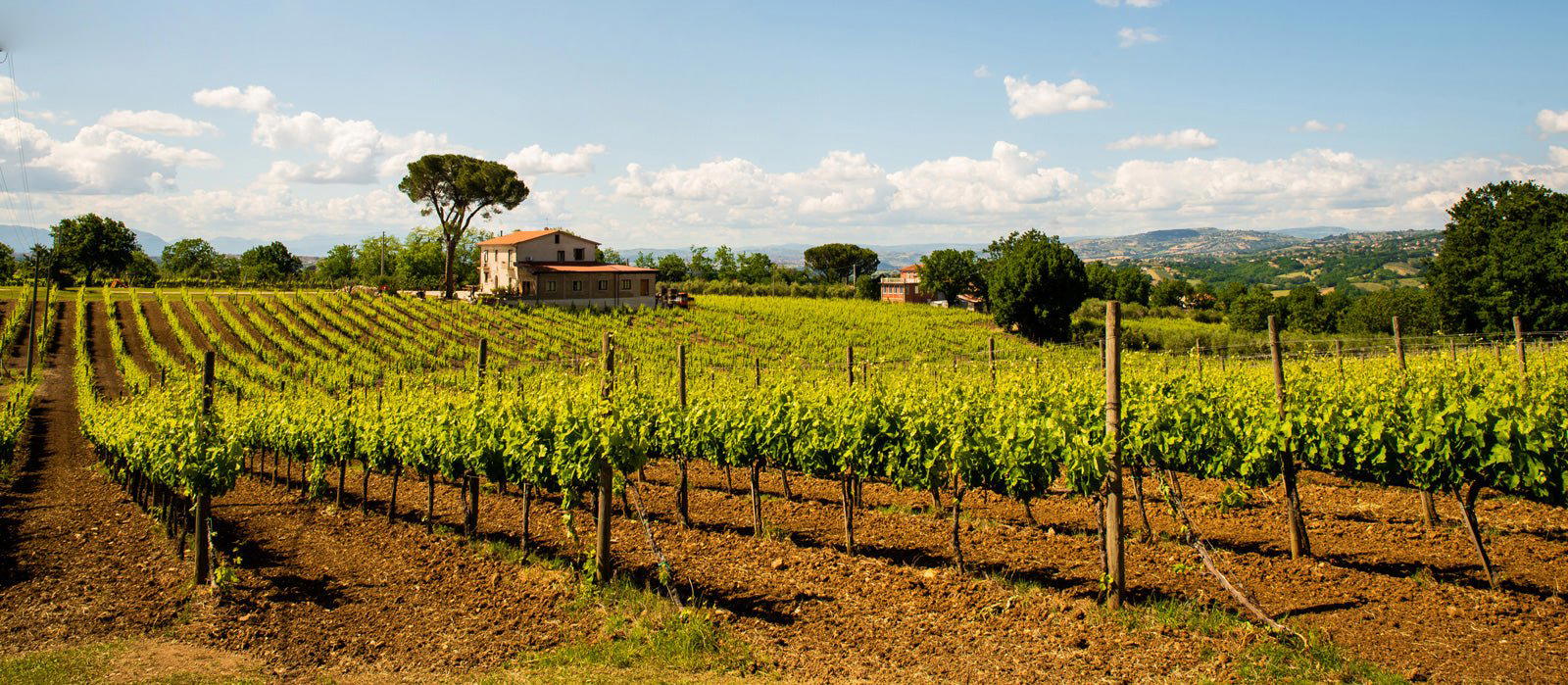 Sella delle Spine winery in Taurasi