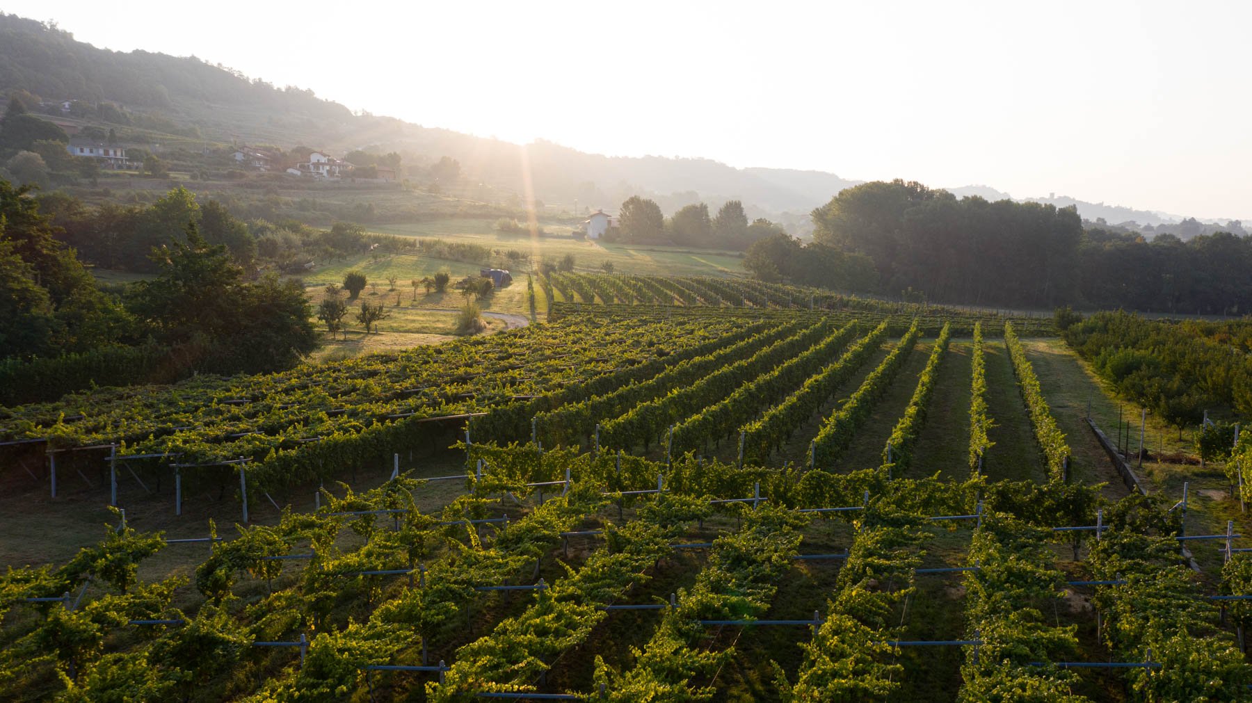 Cantina della Serra, Winery in Piverone