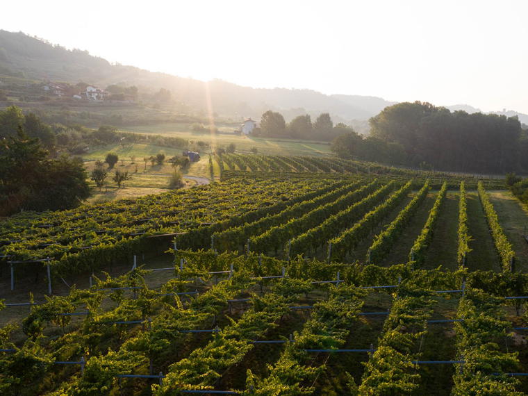 Cantina della Serra, Piverone, Italy