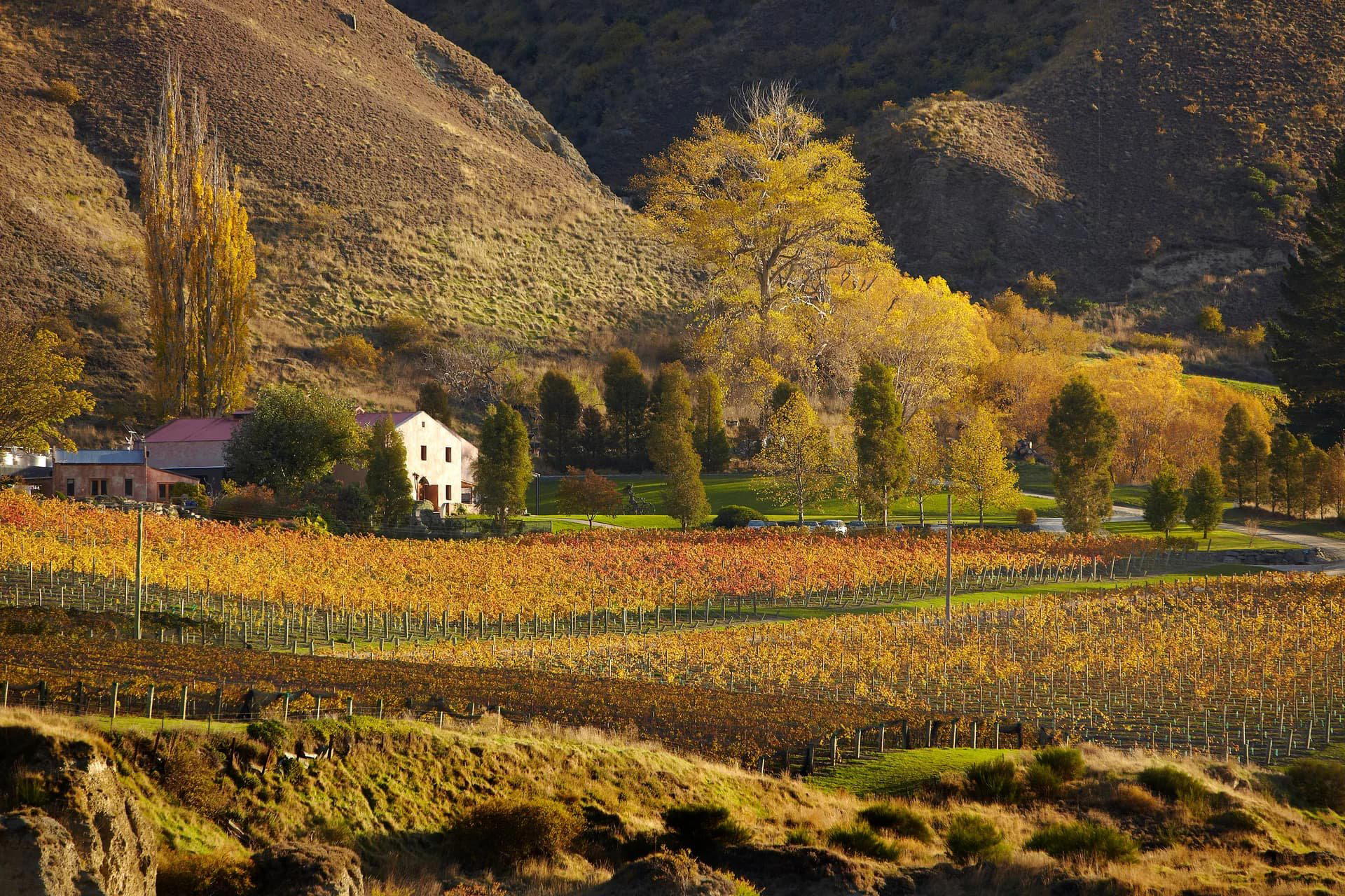 Gibbston Valley Winery winery in Queenstown