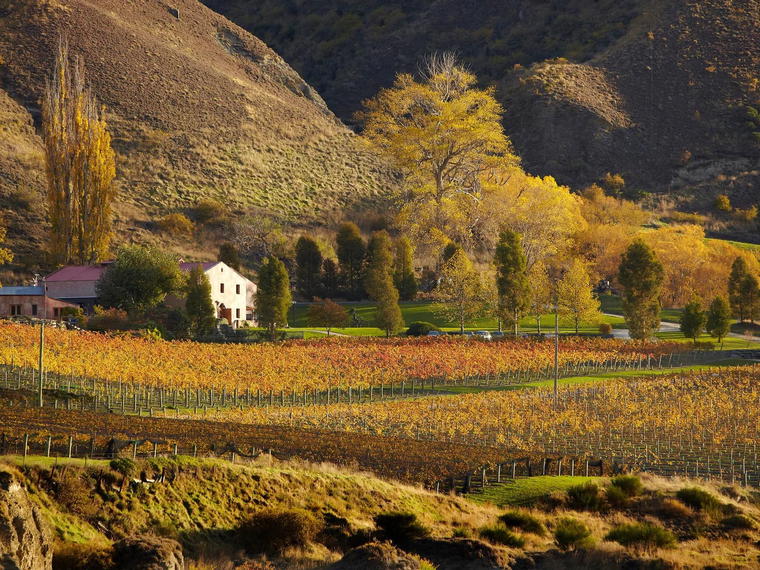 Gibbston Valley Winery, Queenstown, New Zealand