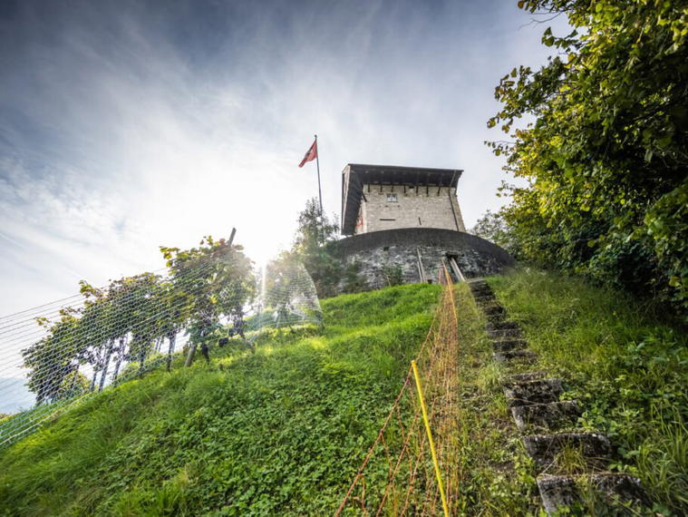 Burgweine Enk, Luchingen, Switzerland