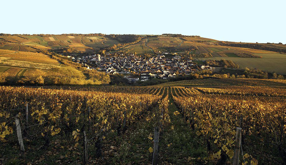 Pascal Bouchard winery in Chablis, France