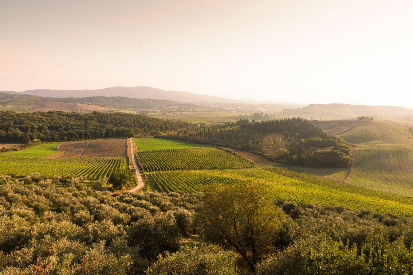 Tenuta di Bibbiano winery in Castellina in Chianti, Italy