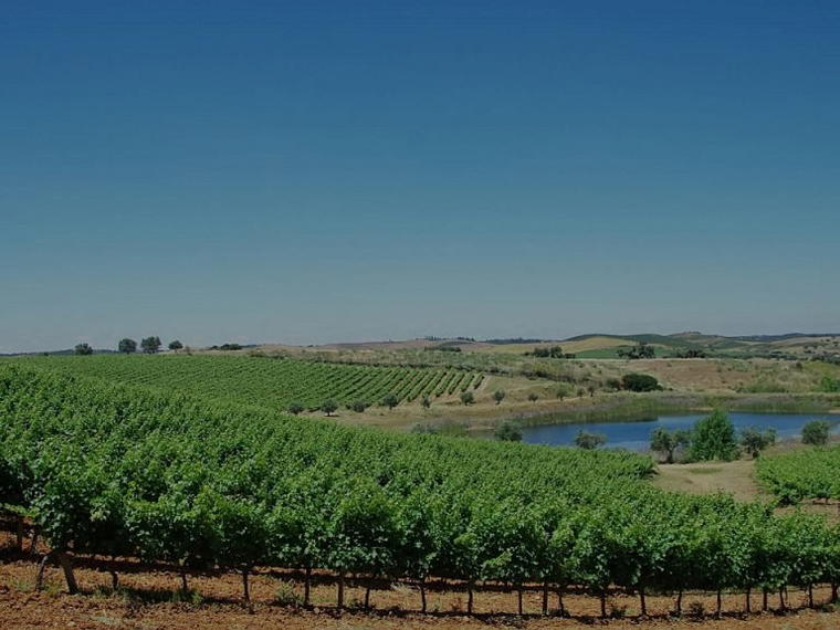 Herdade das Mouras de Arraiolos, Arraiolos, Portugal