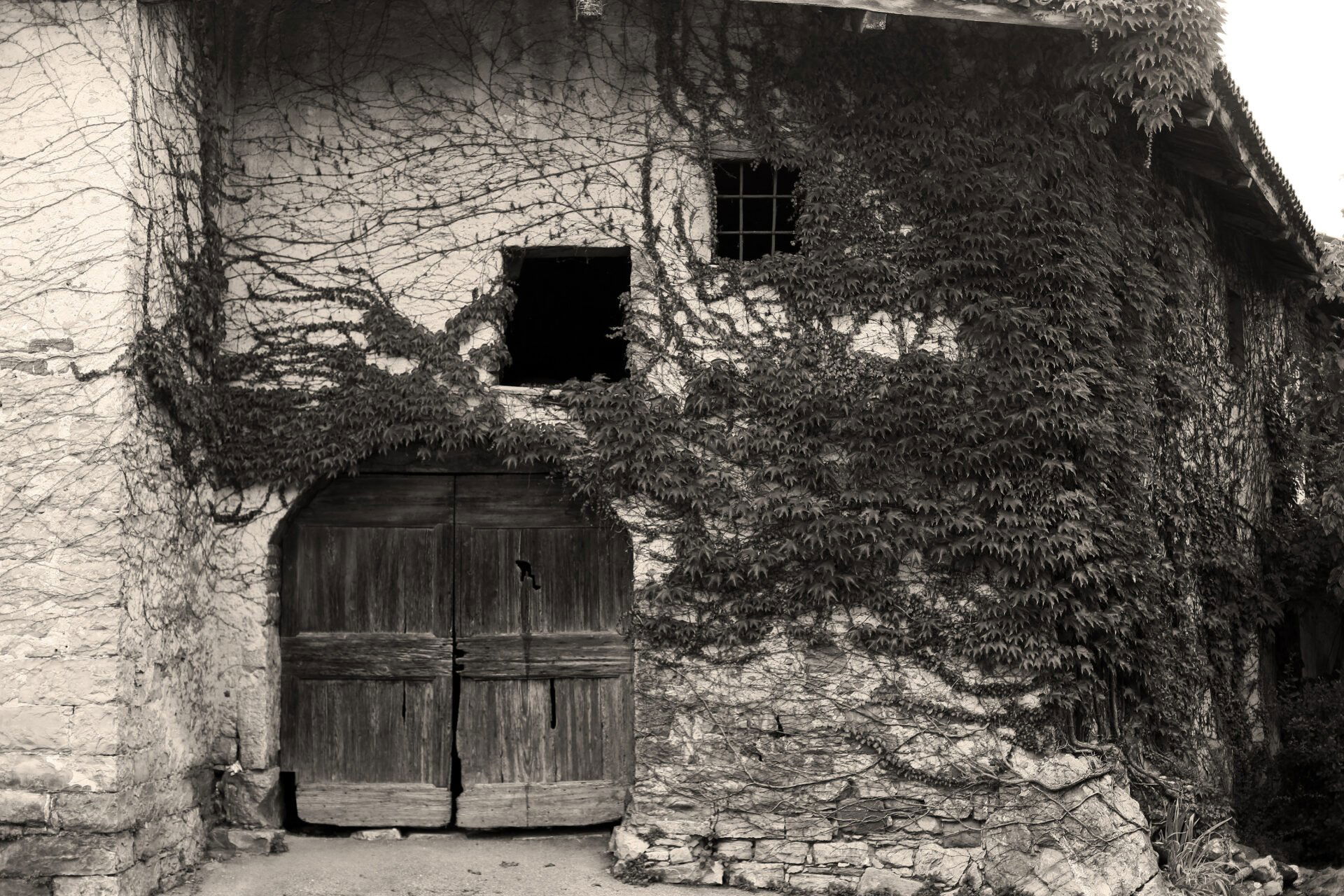 Batič, Winery in Sempas