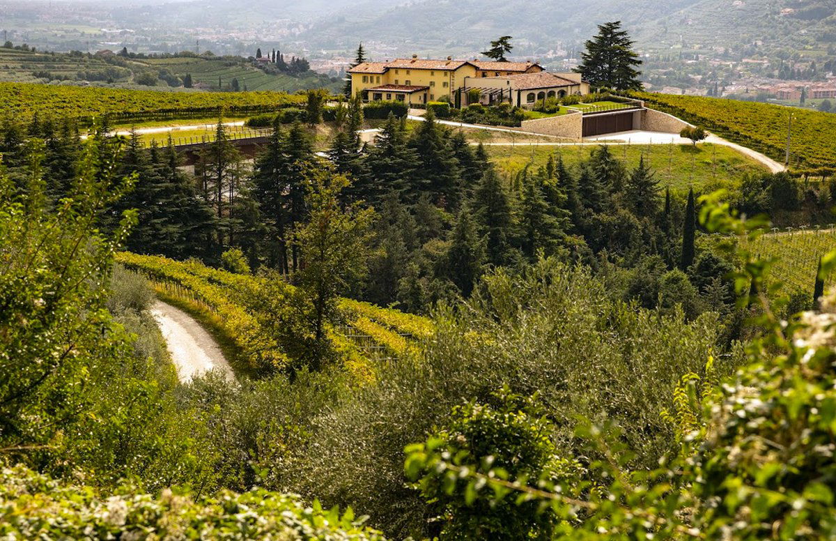 Costa Arènte, Winery in Grezzana