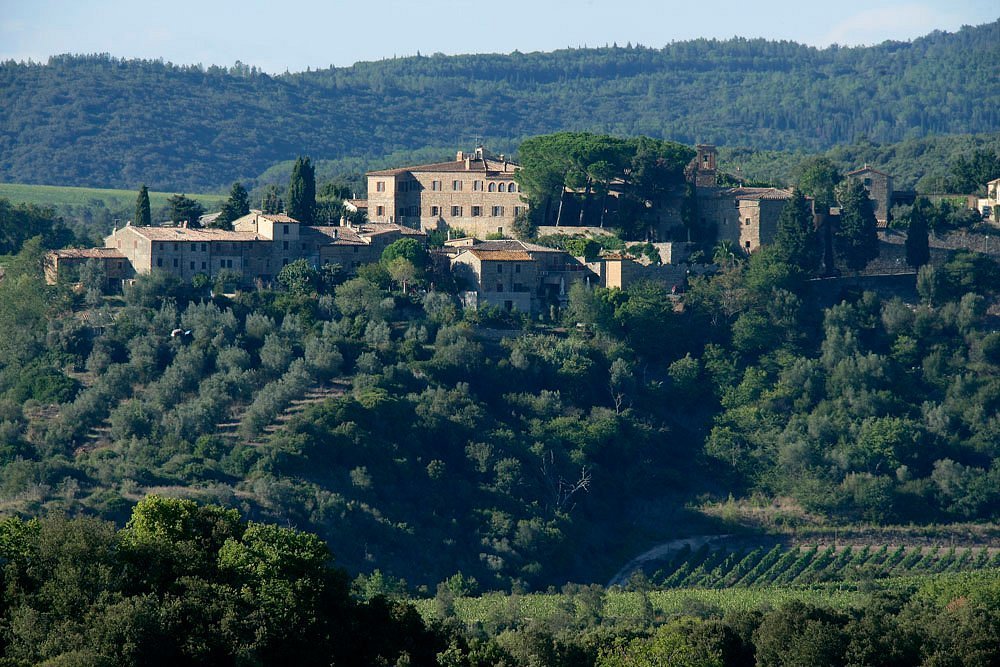 Camigliano, Montalcino, Italy