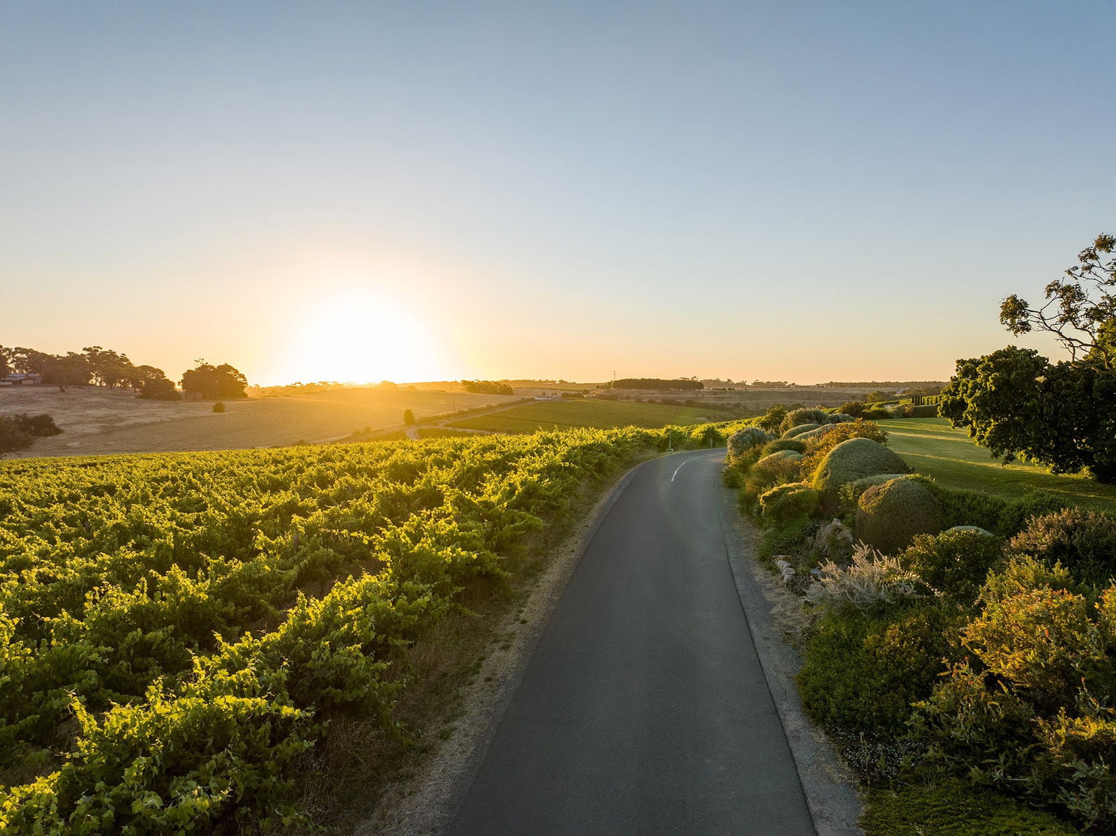 Coriole Vineyards, McLaren Vale, Australia