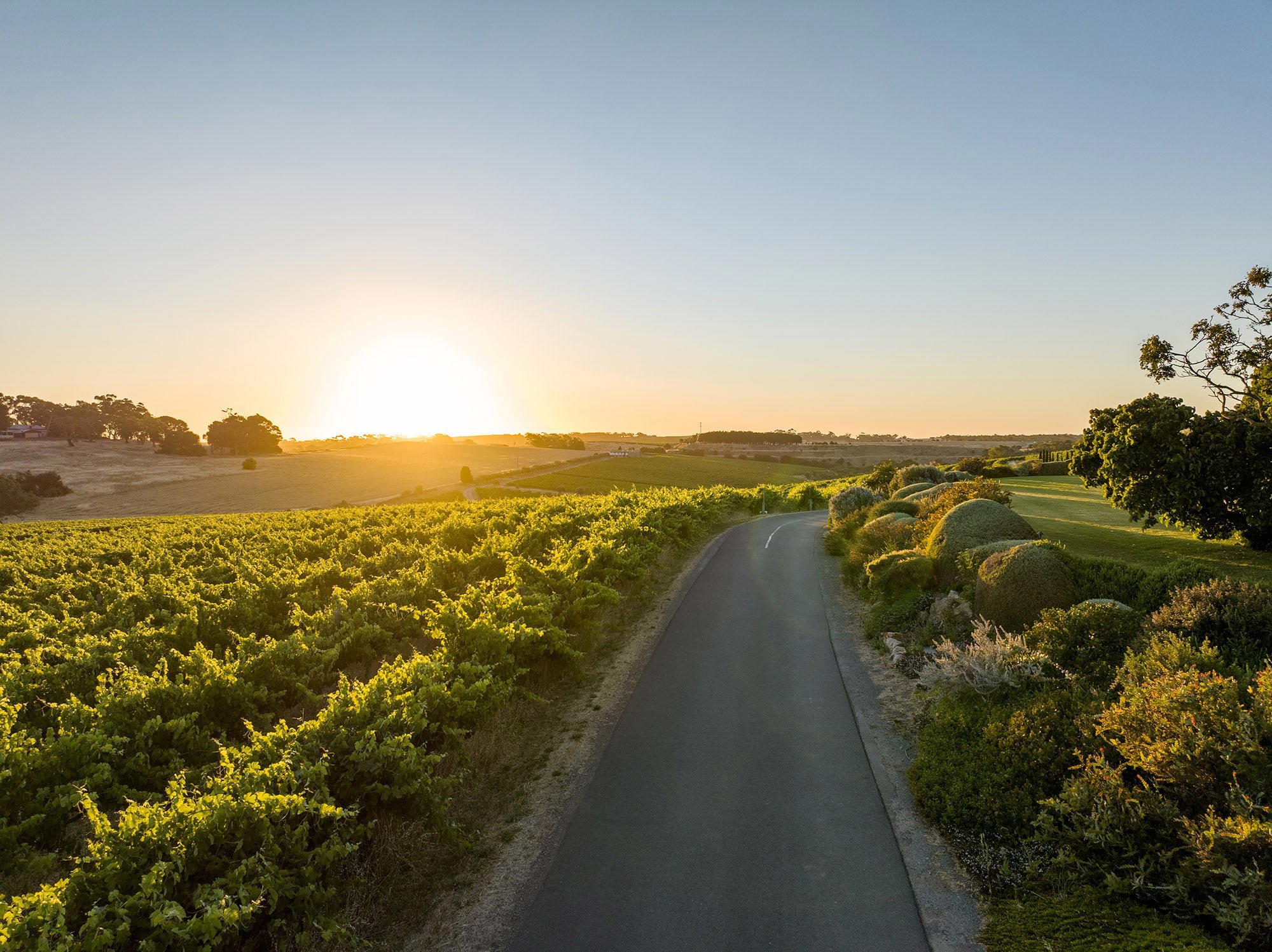 Coriole Vineyards, McLaren Vale, Australia