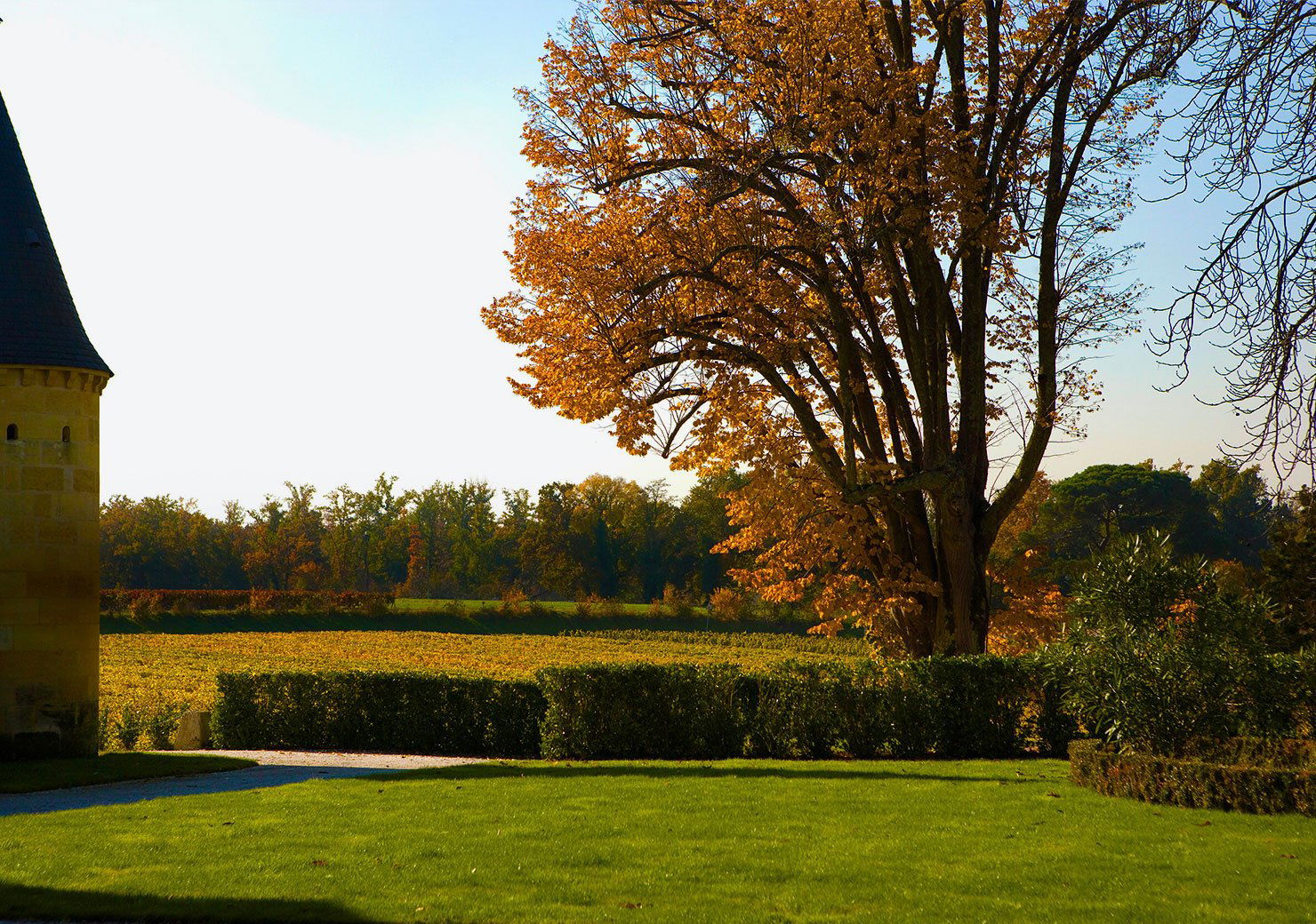 Château Couhins-Lurton, Winery in Villenave D Ornon