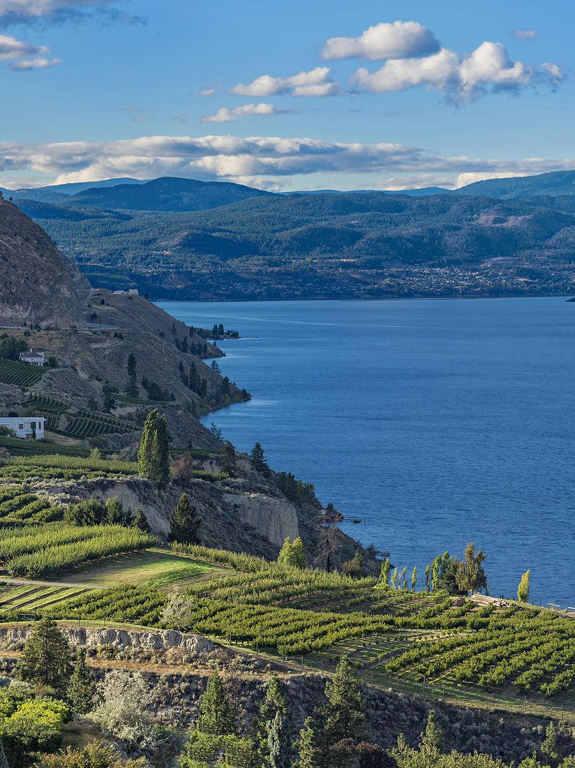 Summerland Winery winery in Summerland