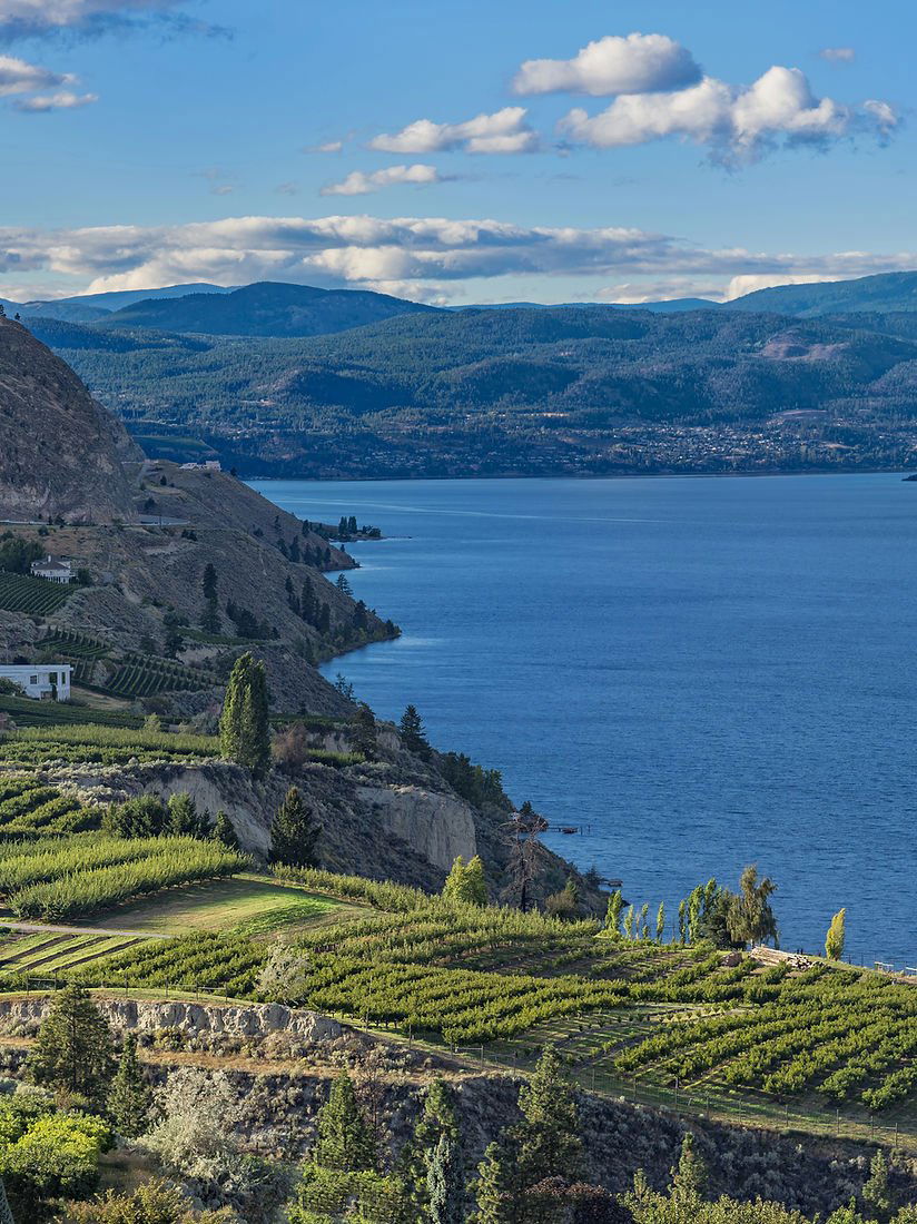 Summerland Winery, Winery in Summerland
