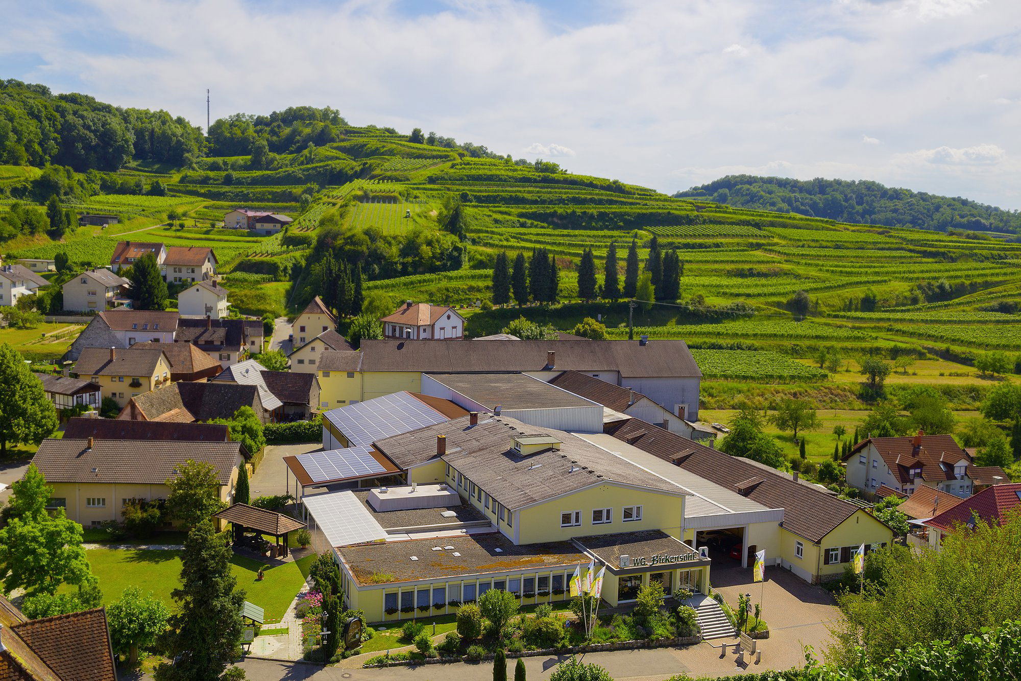 Bickensohler Weinvogtei eG, Winery in Vogtsburg Bickensohl