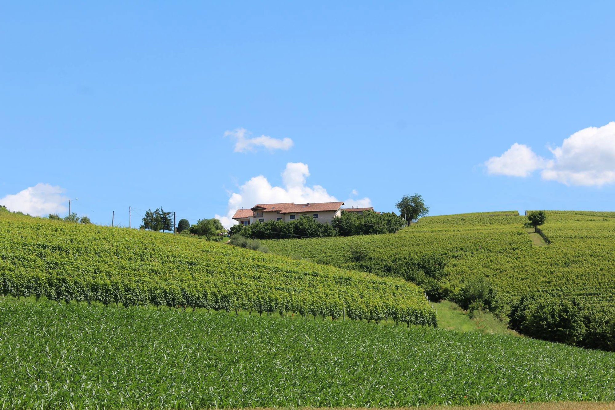 Cascina Carlòt, Winery in Coazzolo