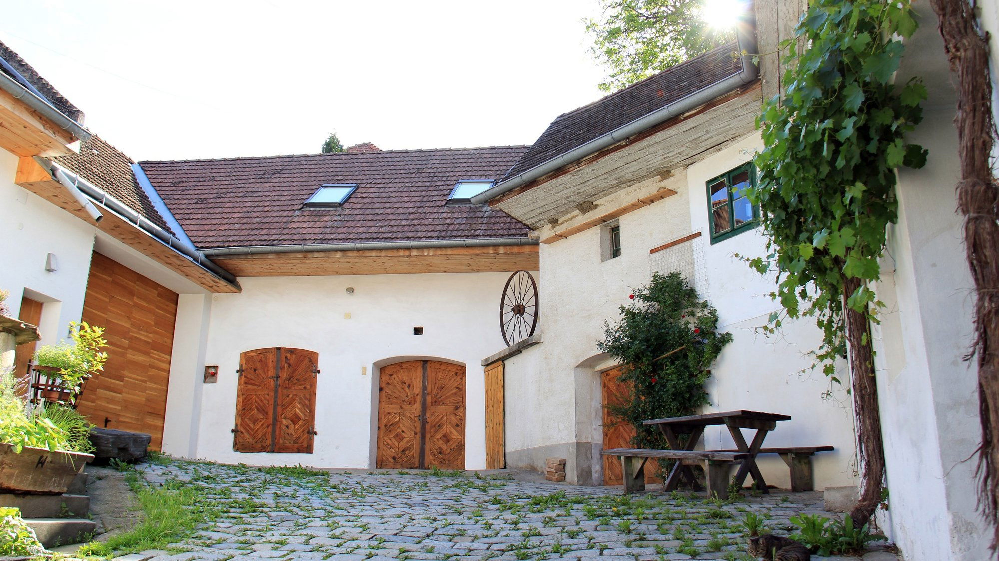 Bioweingut Söllner, Winery in Gosing Wagram