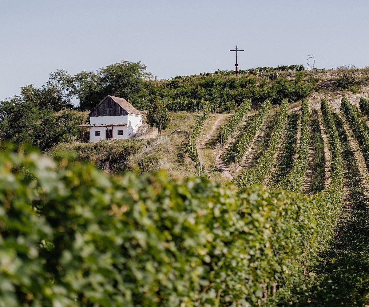 Weingut Norbert Bauer winery in Jetzelsdorf