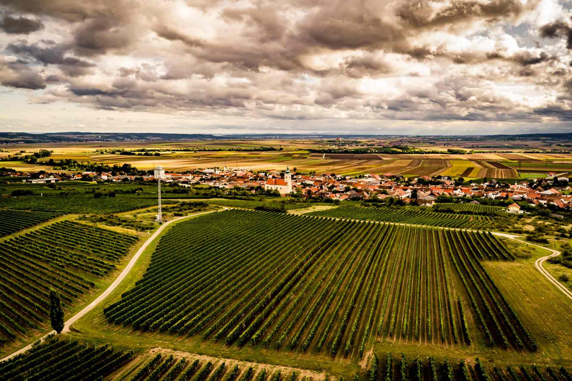 Weingut Beyer winery in Röschitz
