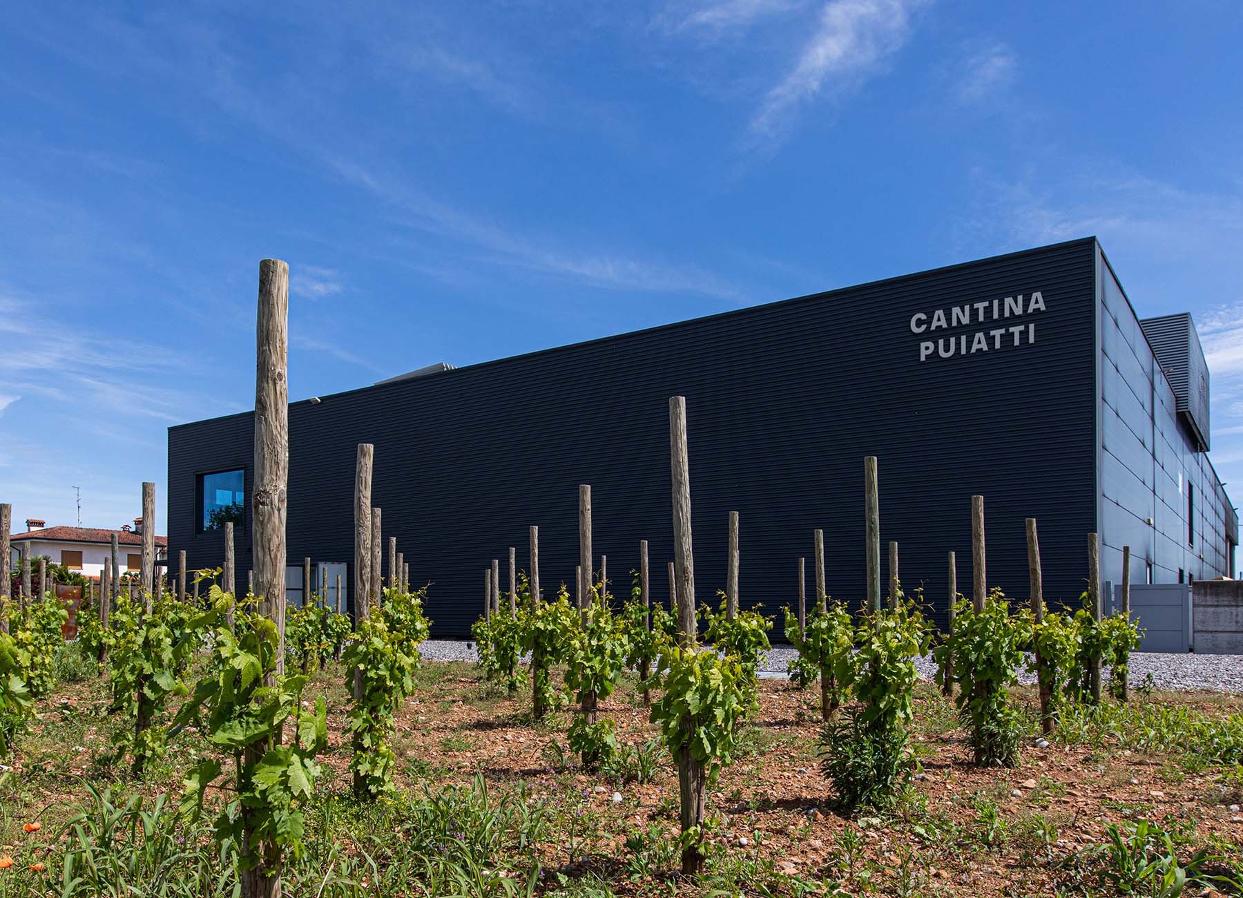 Cantina Puiatti, Winery in Romans D Isonzo