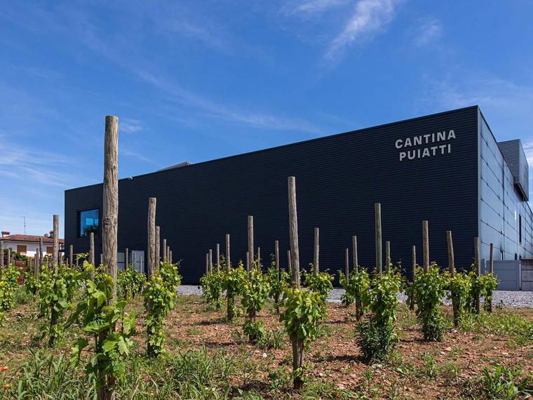 Cantina Puiatti, Romans D Isonzo, Italy