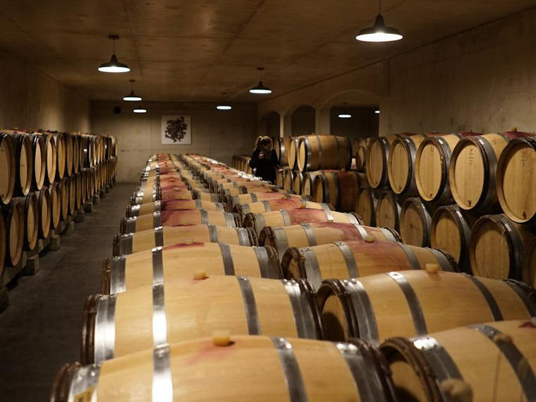 Domaine Berthaut-Gerbet, Fixin, France