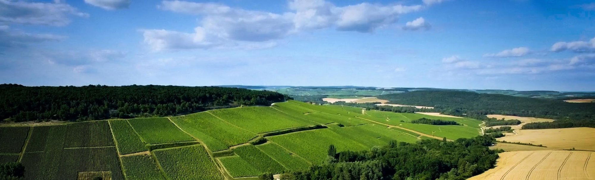 Chanoine Frères, Winery in Reims