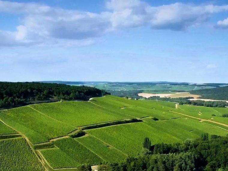 Chanoine Frères, Reims, France