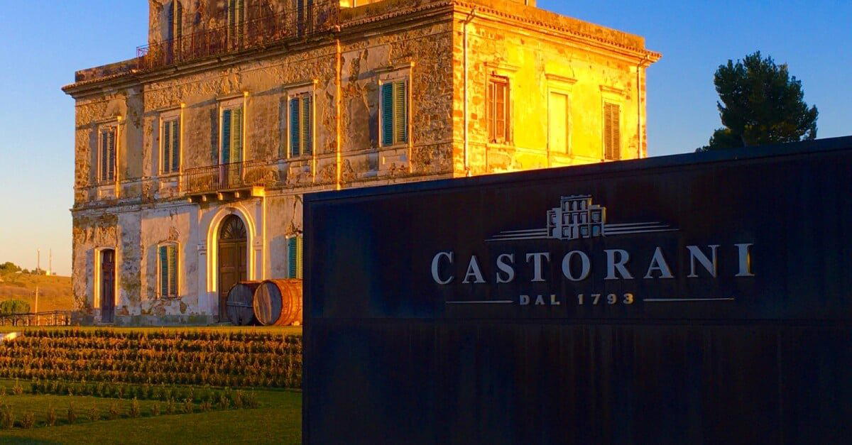 Castorani winery in Alanno