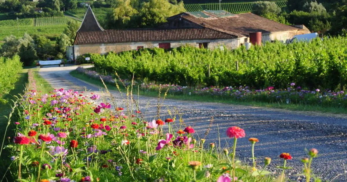 Château La Brande, Winery in Saillans