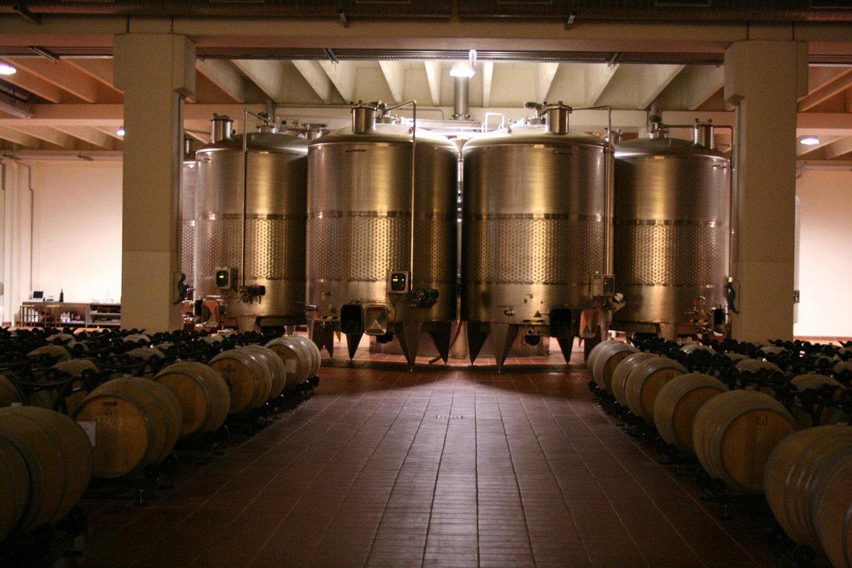 Azienda Agricola Incontri winery in Suvereto