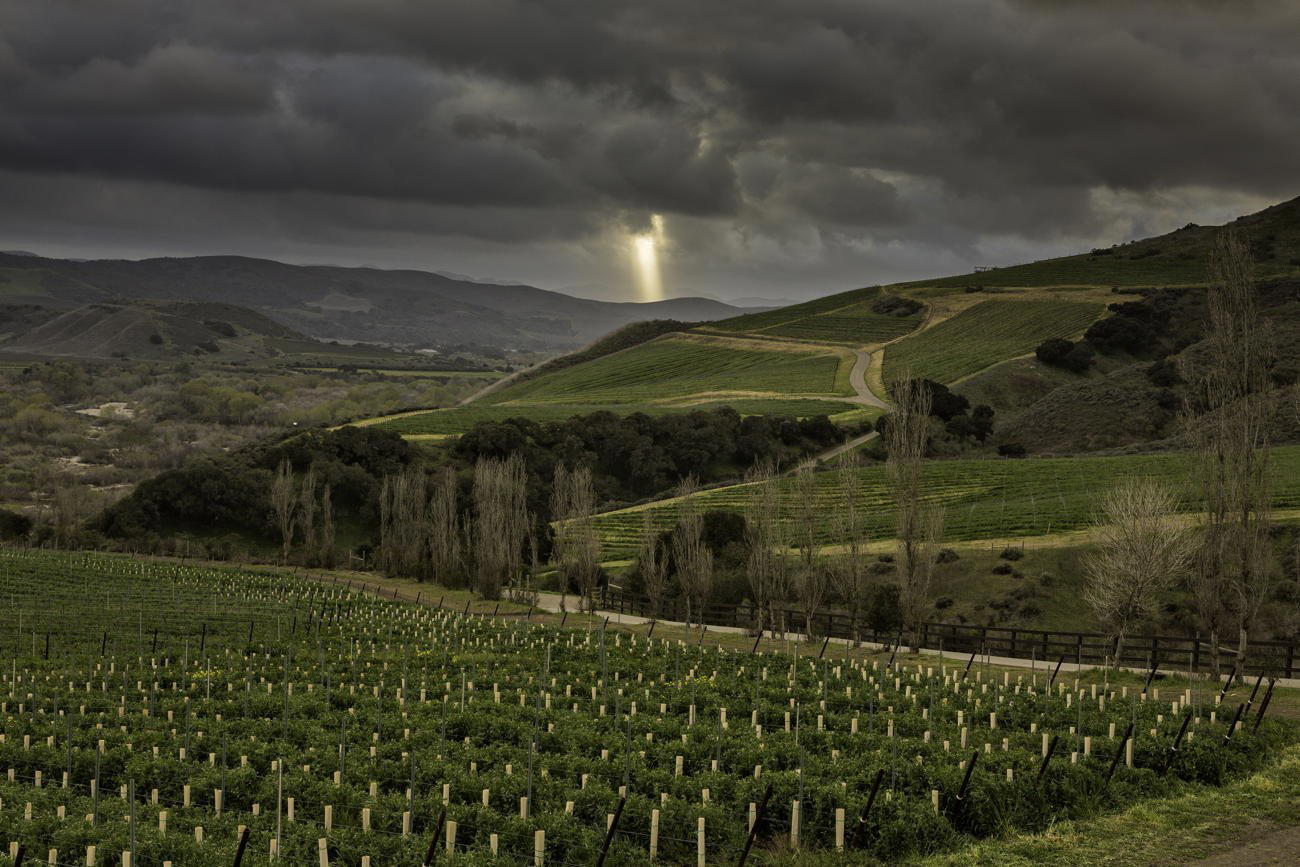 Sea Smoke winery in Santa Ynez, United States