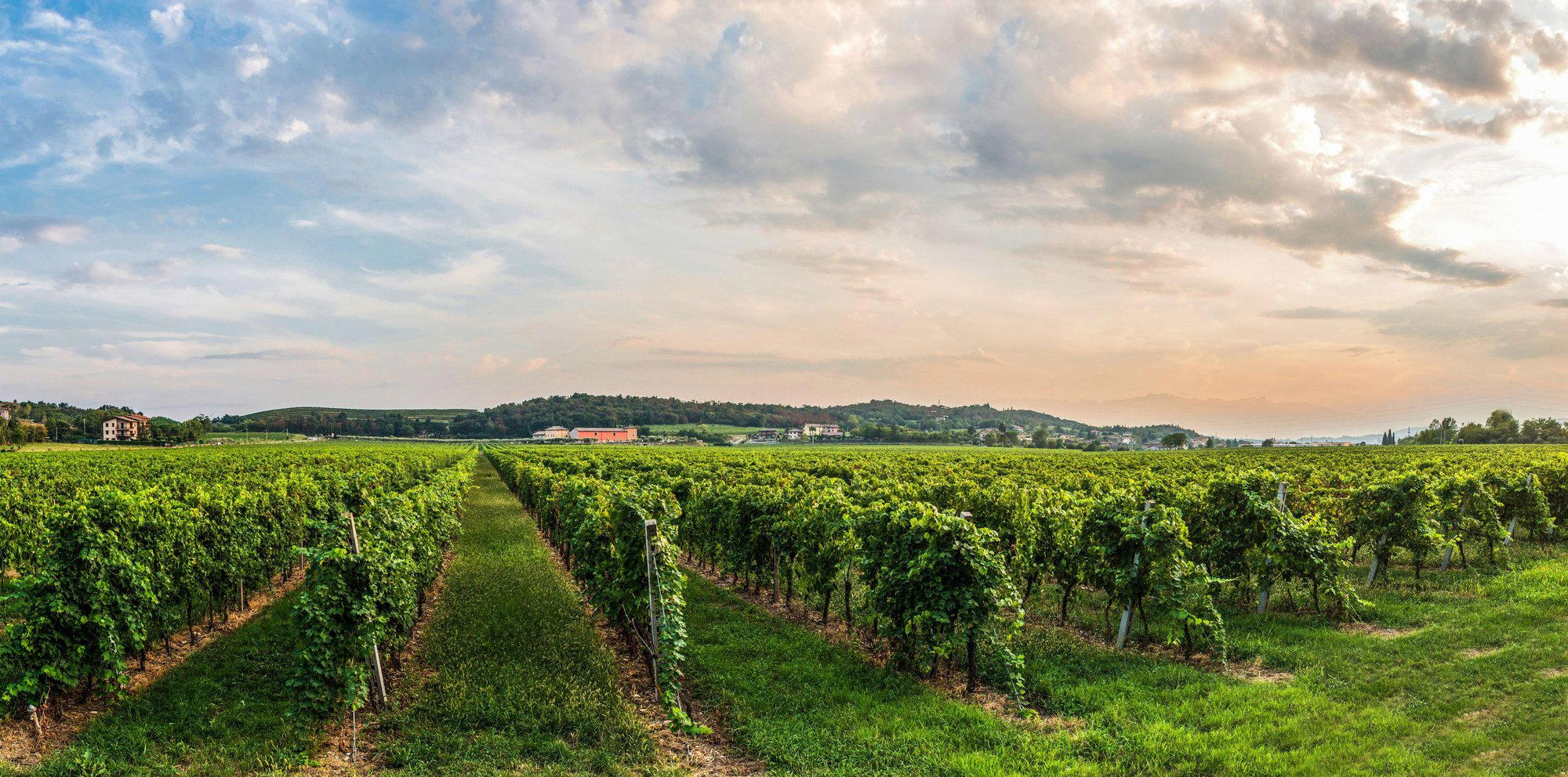 Tenuta La Presa winery in Caprino Veronese