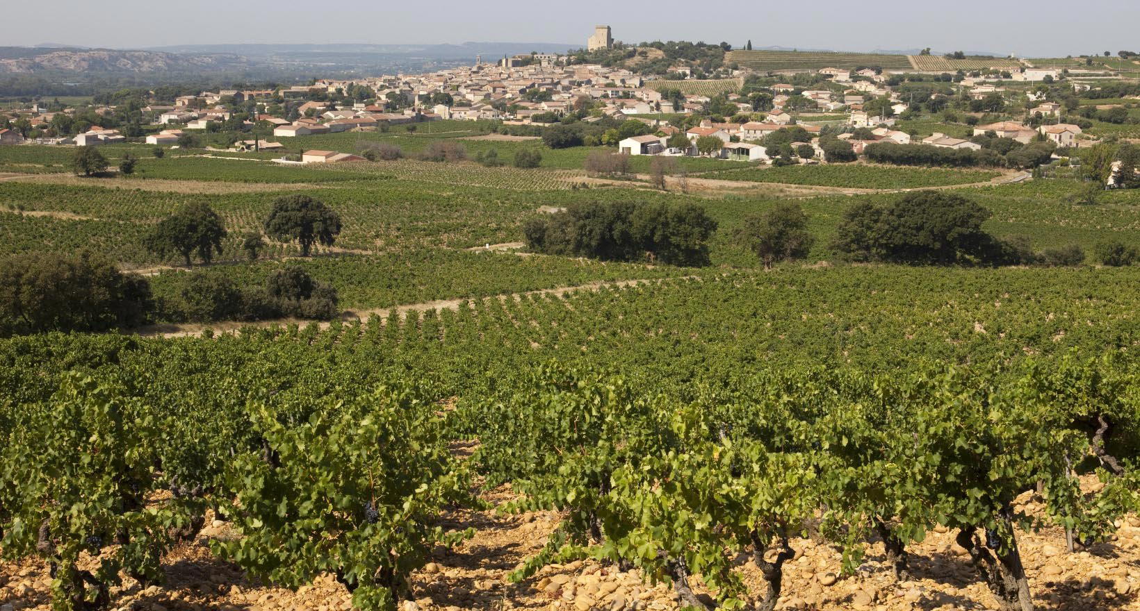Domaine des Sénéchaux, Châteauneuf-du-Pape, France