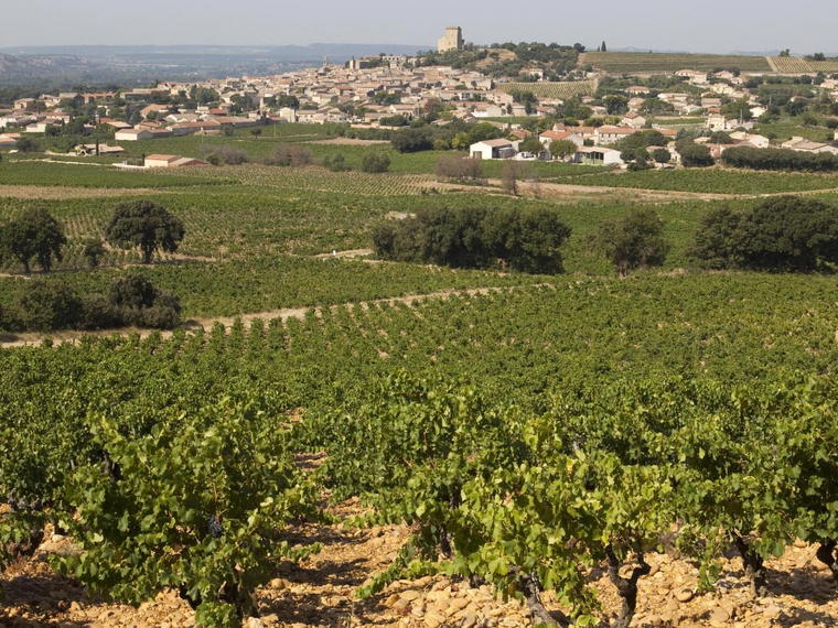 Domaine des Sénéchaux, Châteauneuf-du-Pape, France