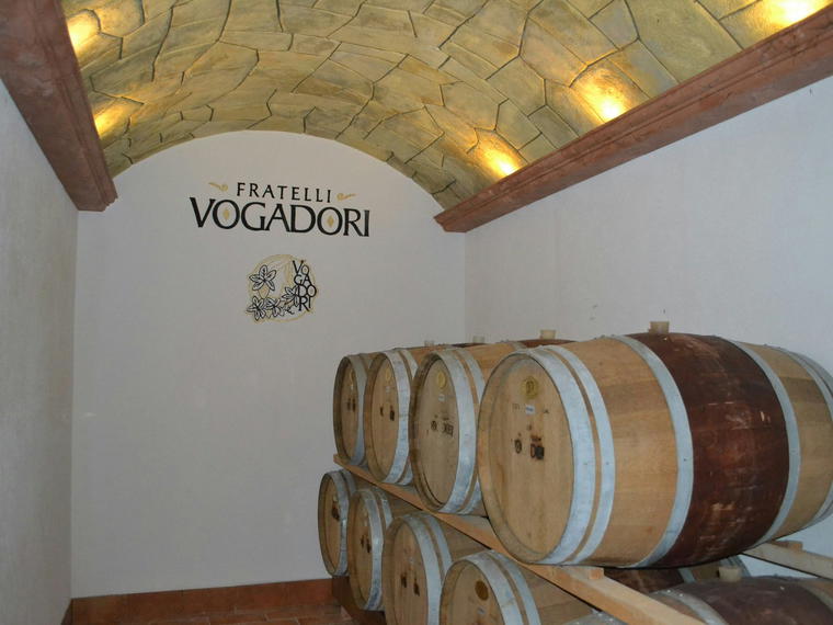 Fratelli Vogadori, Negrar, Italy