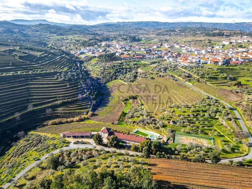 Antonio Manuel Cardoso Teixeira Afonso, Winery in Morgade