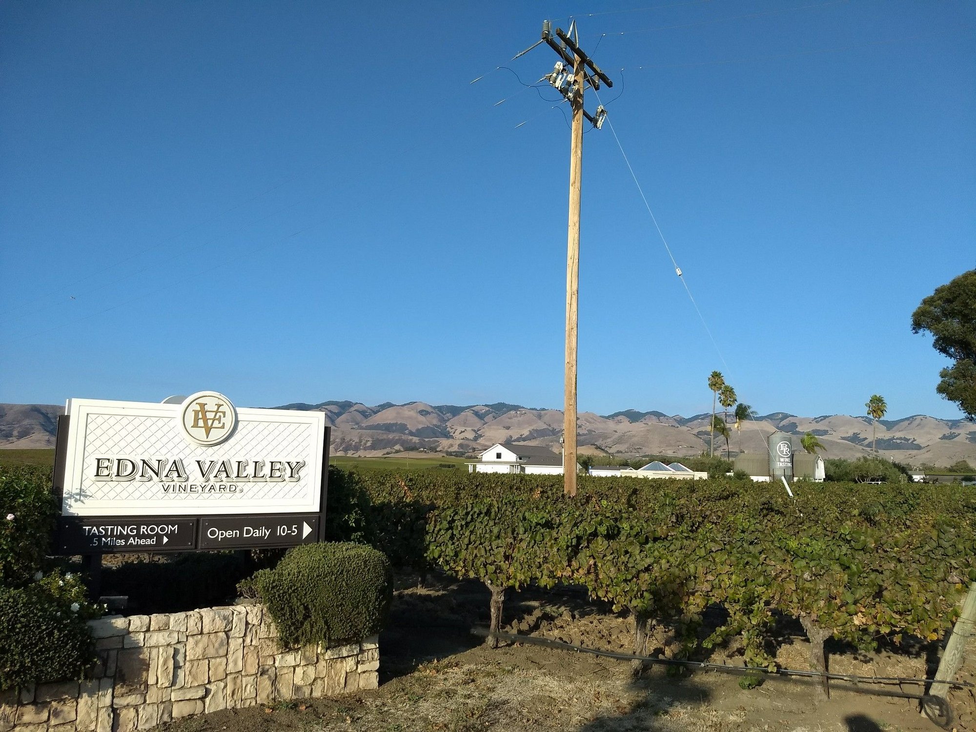 Edna Valley Vineyard