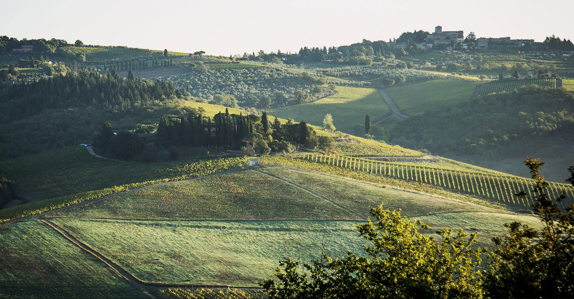 Castello dei Rampolla, Winery in Panzano In Chianti