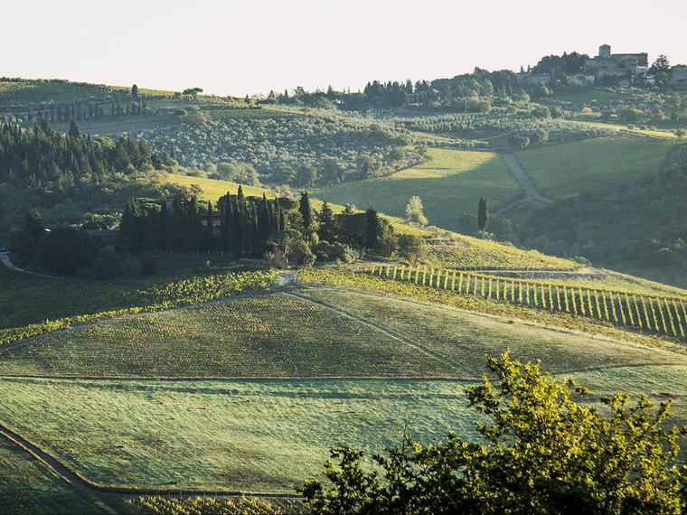 Castello dei Rampolla, Panzano In Chianti, Italy