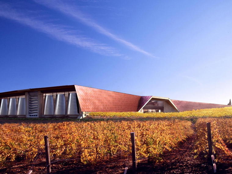 Bodegas Portia, Gumiel De Izan, Spain